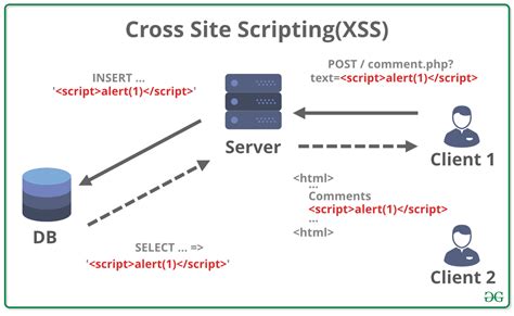 Cross Site Scripting (XSS) .